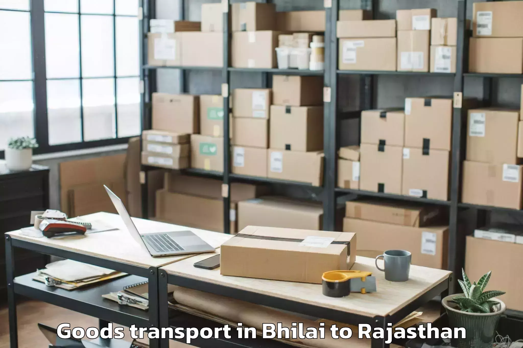 Get Bhilai to Udaipur Goods Transport